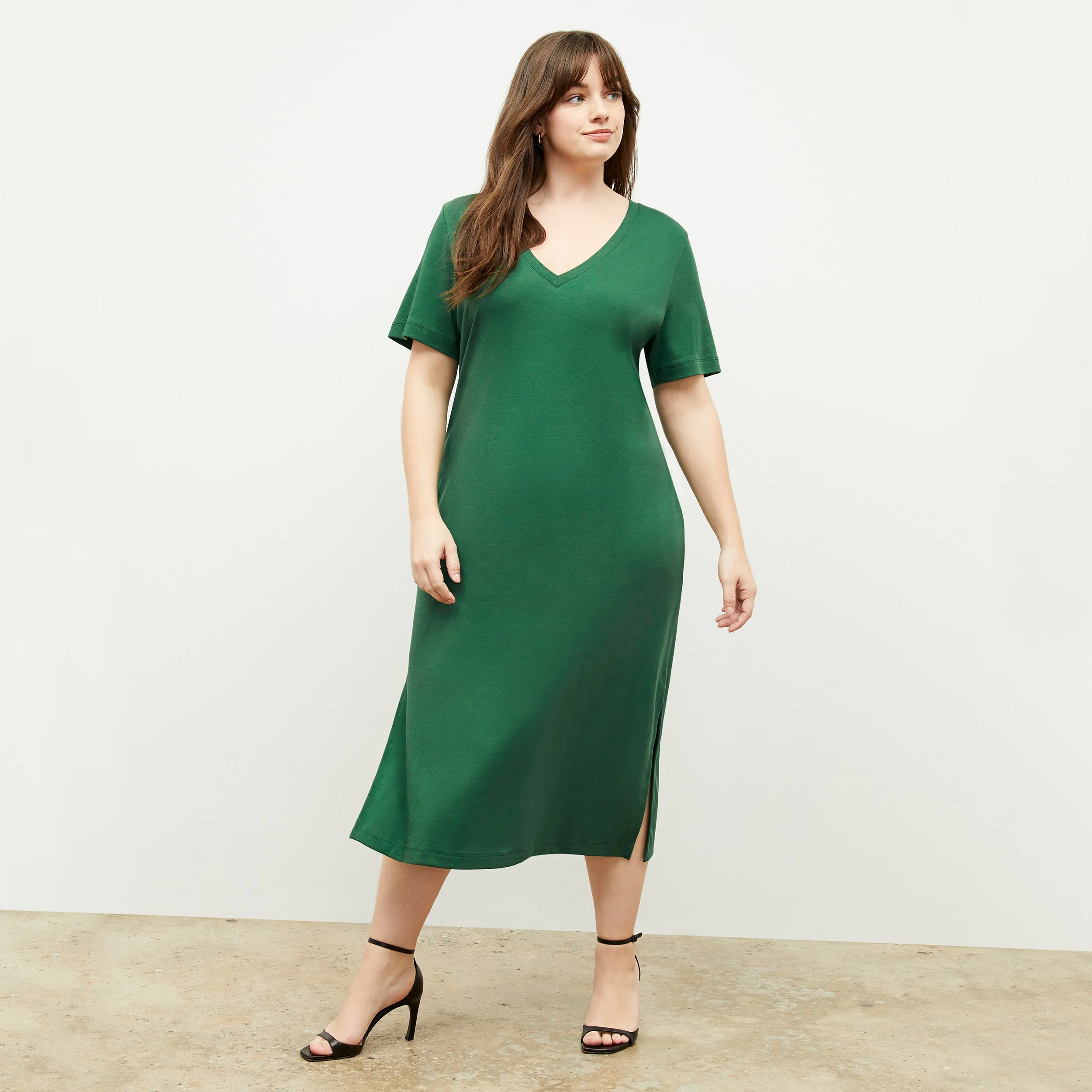 Renee Dress - Pima Cotton :: Vine