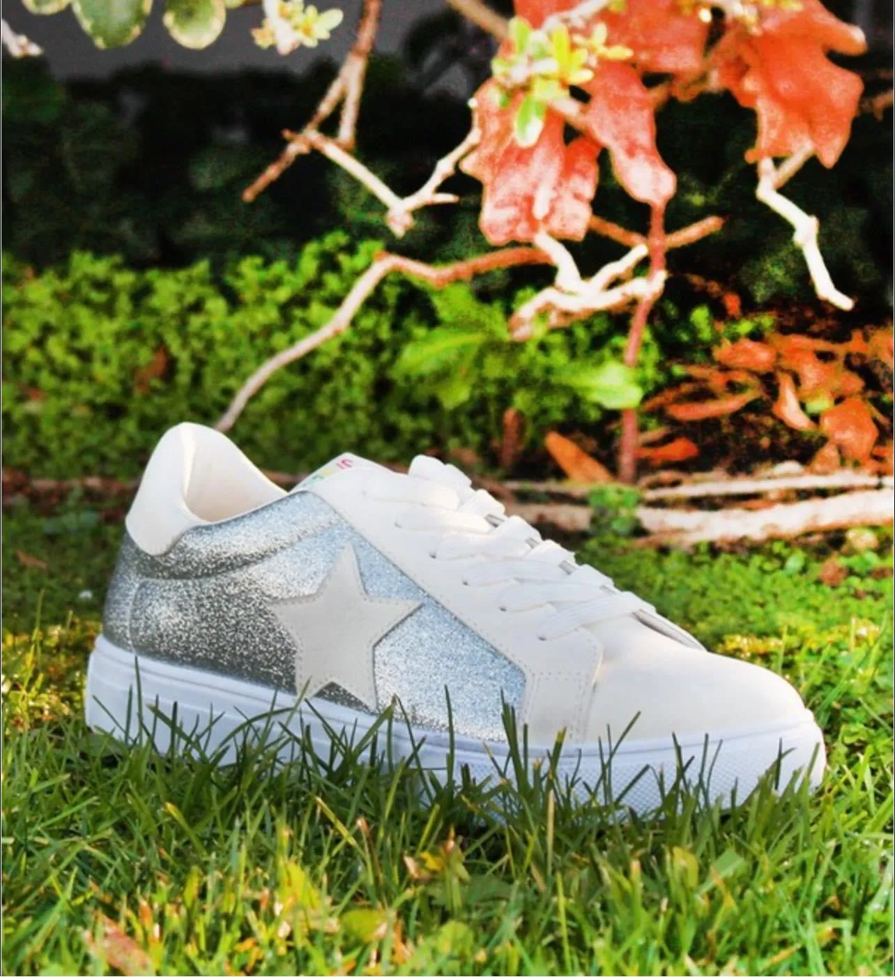 Silver Star Sneakers